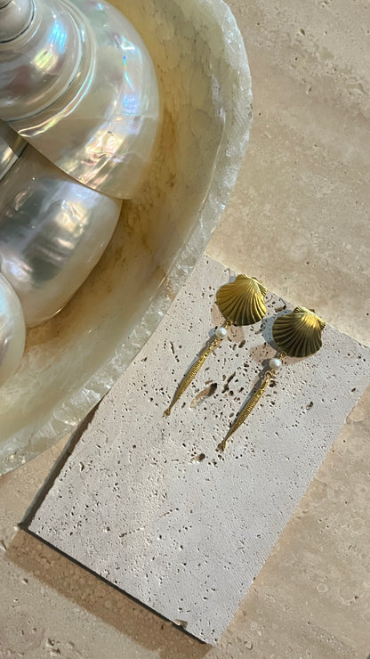 Shell fish earring