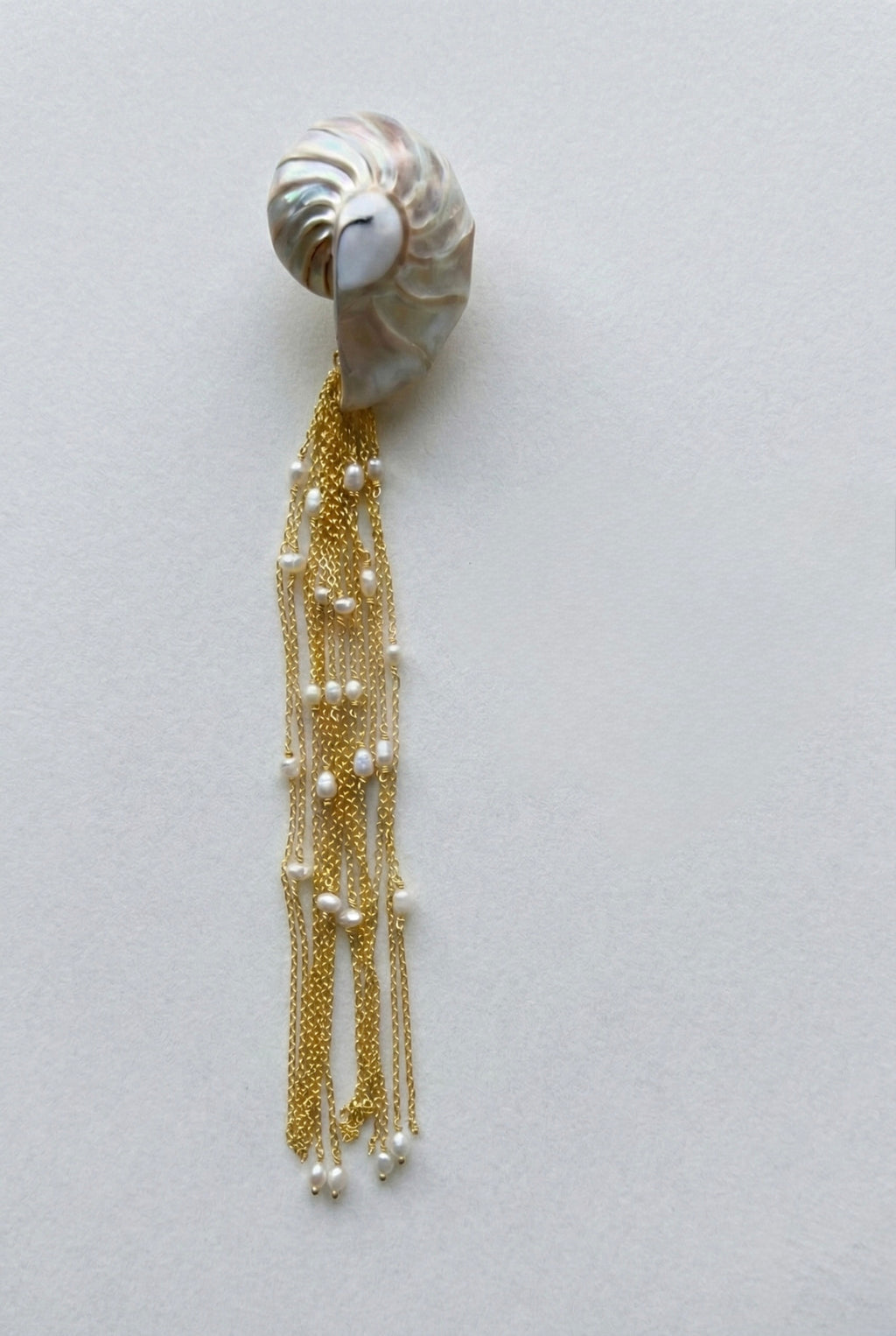 Nautilus Earring with chain