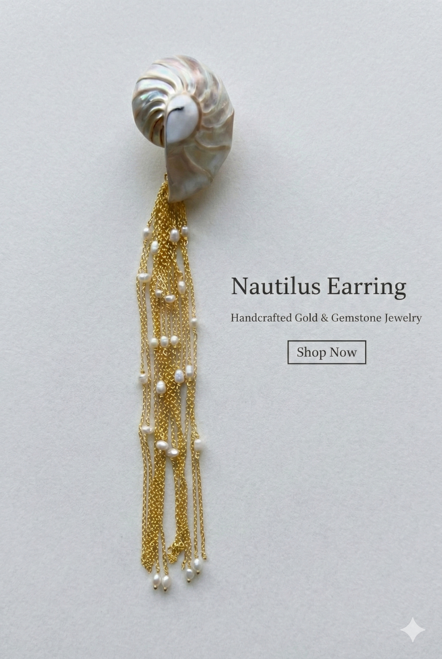 Nautilus Earring with chain